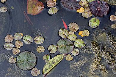 过山车飞人经营模拟游戏《狂想乐园》发布开发日志