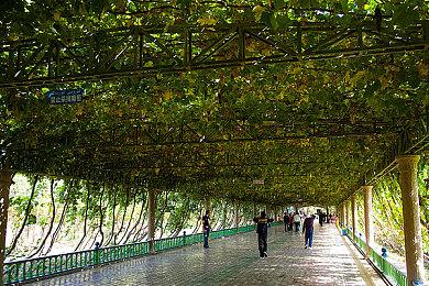 《人中之龙８外传》发售日变更为2025年2月21日！同步公开第二部预告片！